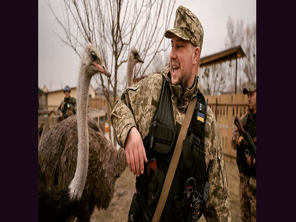 Ukrainian soldier with ostriches