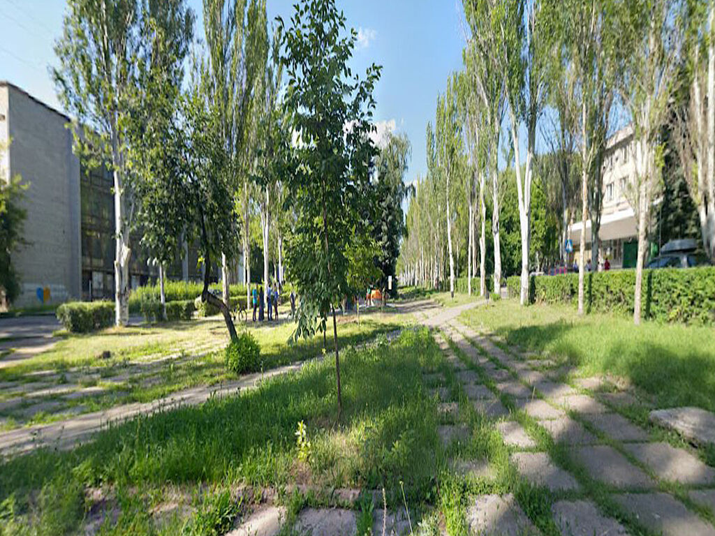 Park area near the institute