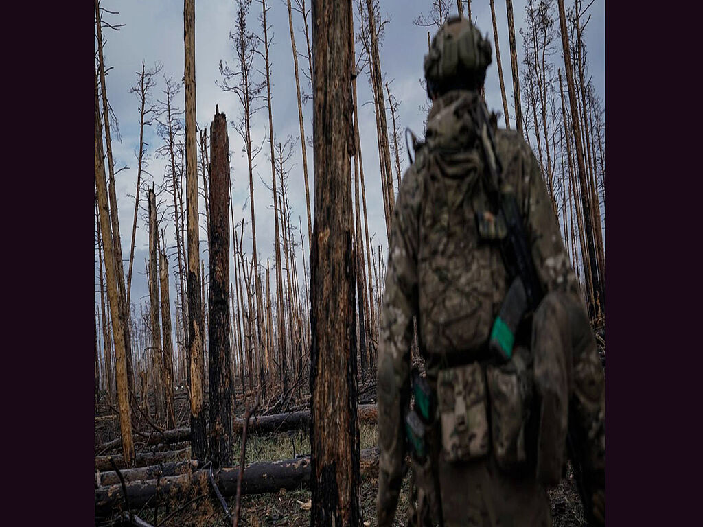 A soldier of the Ukrainian Armed Forces at a position in the Serebrianka Forest