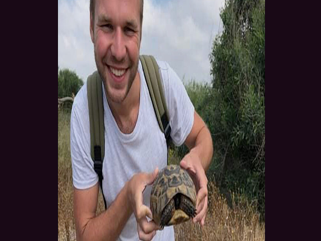 Foto mit einer Schildkröte