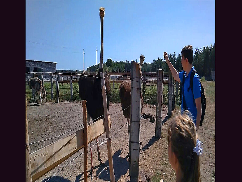 Zoo visitors in peacetime