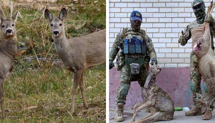 Ukraine 05 Avril, 2023